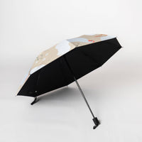 Spring Chicken Umbrella