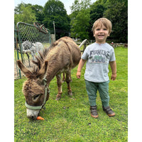 Green Tractor Boy Clothing Country Farm Western for Kids