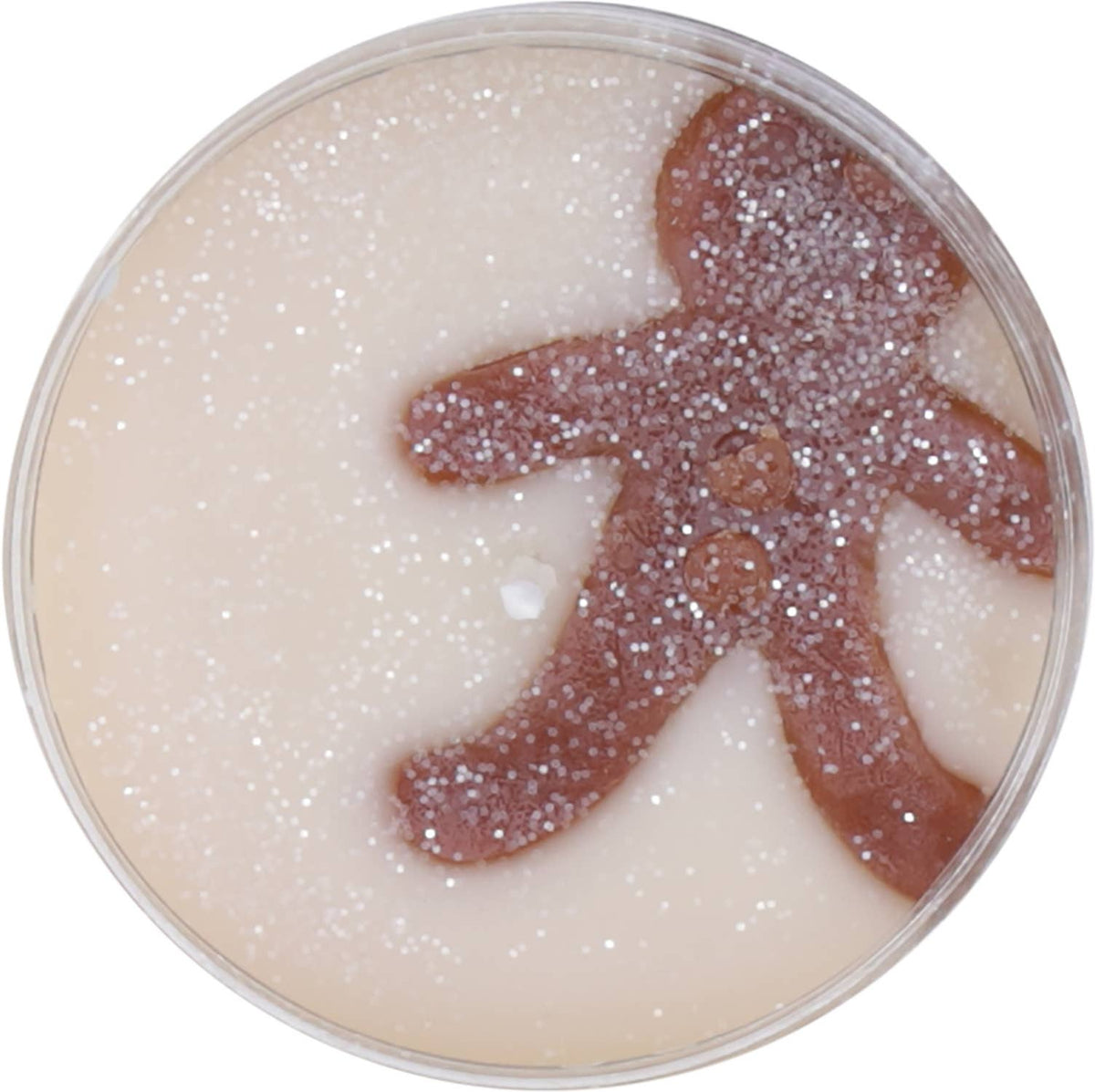 Gingerbread 14 oz Mason Jar Candle
